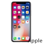 Ремонт iPhone X(10) в Рязани